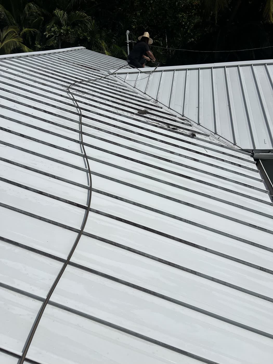 Roof soft wash — Streak-free, by Cayman Clean & Blast, Grand Cayman